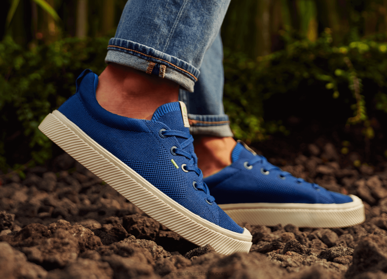 T8NFN183 Men Stone Blue Knit Cariuma