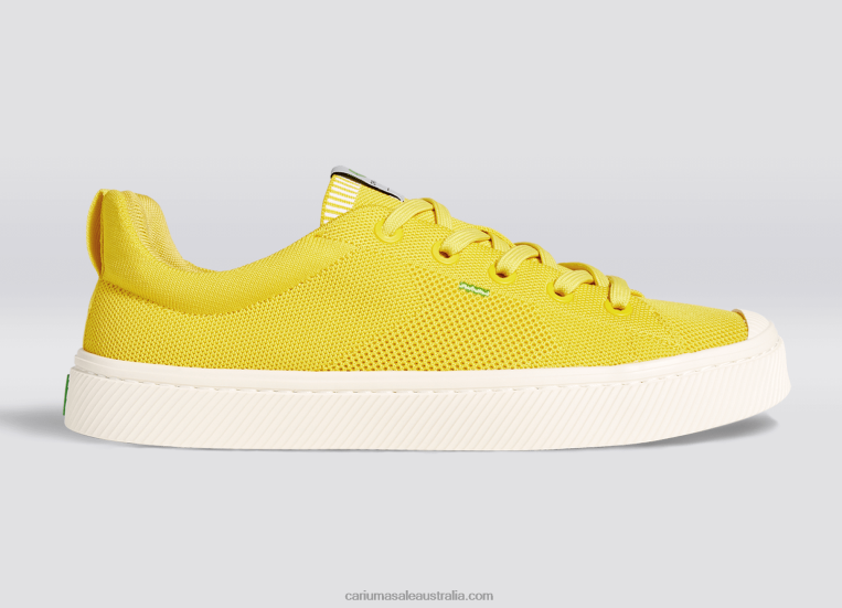T8NFN186 Men Sun Yellow Knit Cariuma
