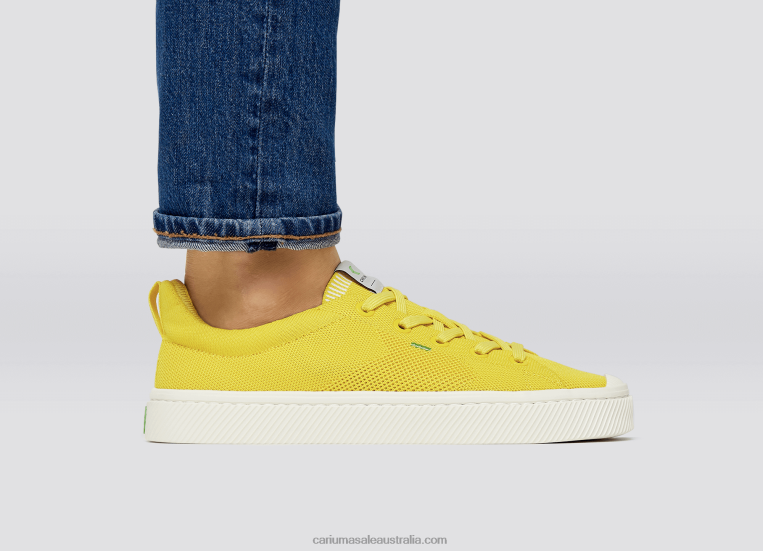 T8NFN186 Men Sun Yellow Knit Cariuma