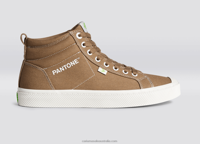 T8NFN64 Men Pantone Lion Canvas Cariuma