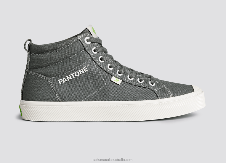T8NFN65 Men Pantone Gargoyle Grey Canvas Cariuma