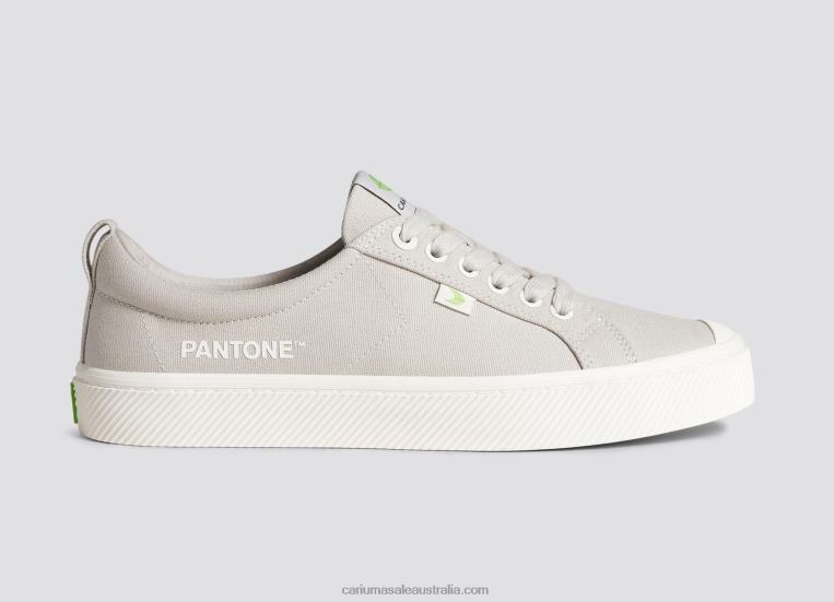 T8NFN17 Men Pantone French Oak Canvas Cariuma