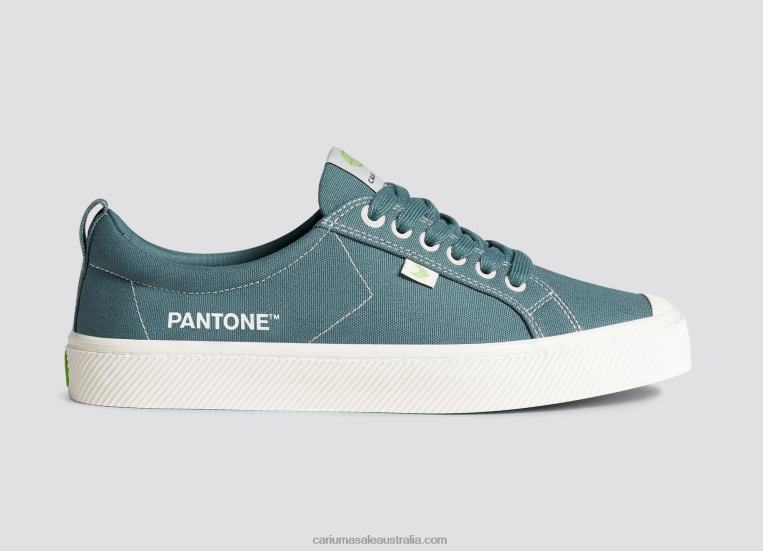 T8NFN19 Men Pantone Tapestry Canvas Cariuma