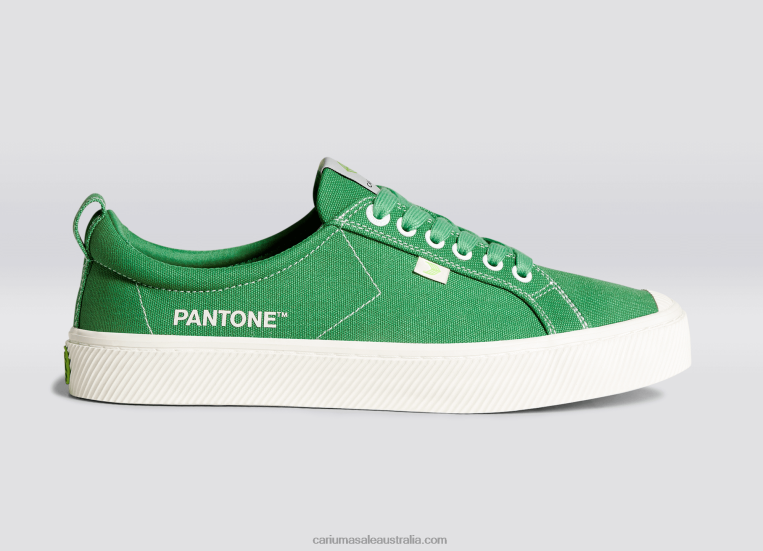 T8NFN20 Men Pantone Greenbriar Canvas Cariuma