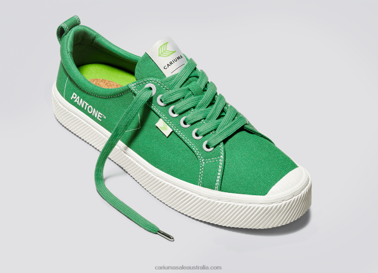 T8NFN20 Men Pantone Greenbriar Canvas Cariuma