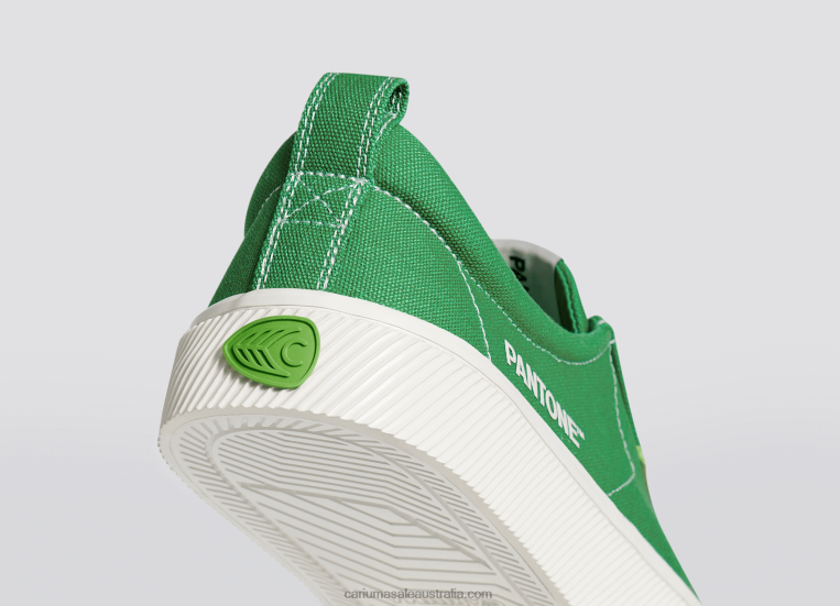 T8NFN20 Men Pantone Greenbriar Canvas Cariuma