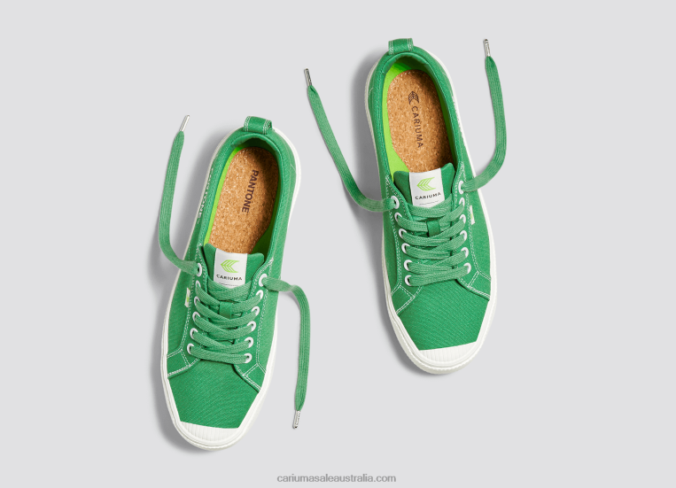 T8NFN20 Men Pantone Greenbriar Canvas Cariuma