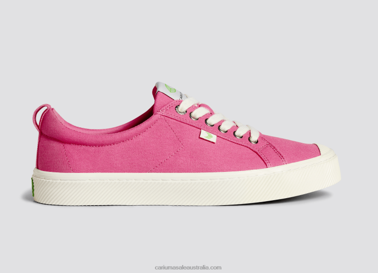 T8NFN24 Men Bright Pink Canvas Cariuma