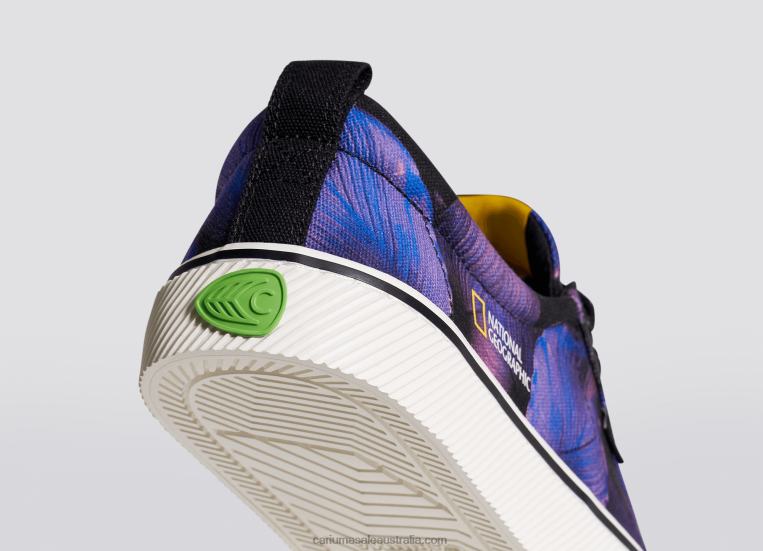 T8NFN29 Men National Geographic Peace Lily Purple Canvas Cariuma