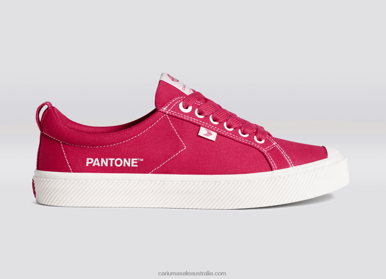 T8NFN38 Men Pantone Viva Magenta/Off-White Canvas Cariuma