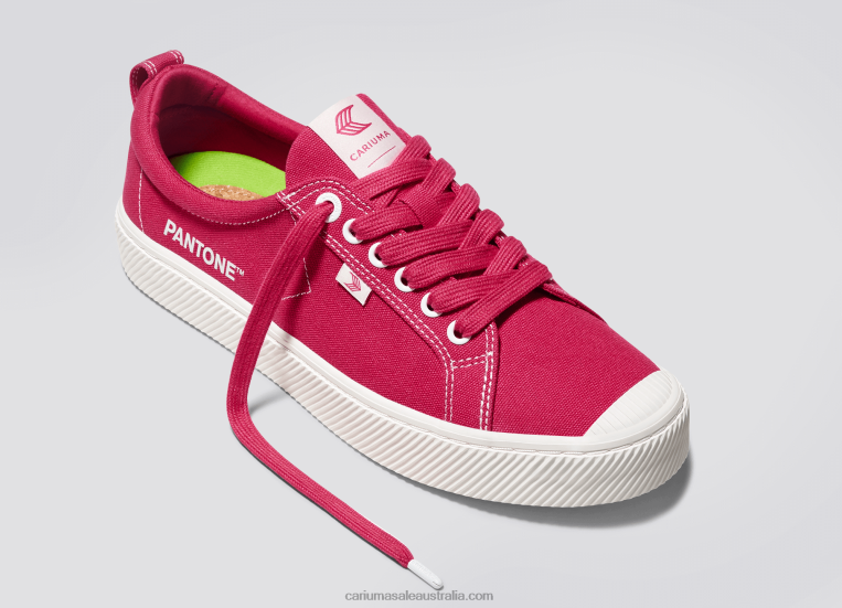 T8NFN38 Men Pantone Viva Magenta/Off-White Canvas Cariuma
