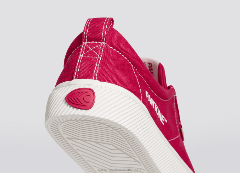 T8NFN38 Men Pantone Viva Magenta/Off-White Canvas Cariuma