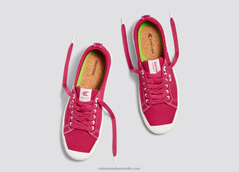 T8NFN38 Men Pantone Viva Magenta/Off-White Canvas Cariuma