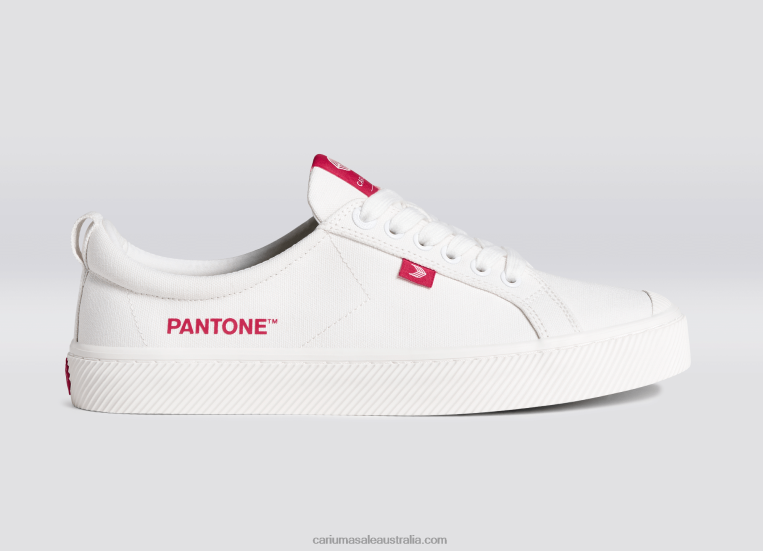 T8NFN39 Men Pantone Off-White/Viva Magenta Canvas Cariuma