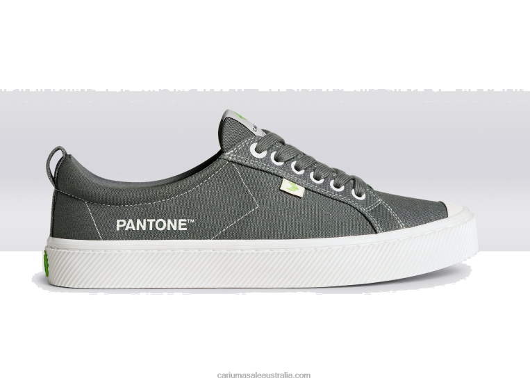 T8NFN40 Men Pantone Gargoyle Grey Canvas Cariuma