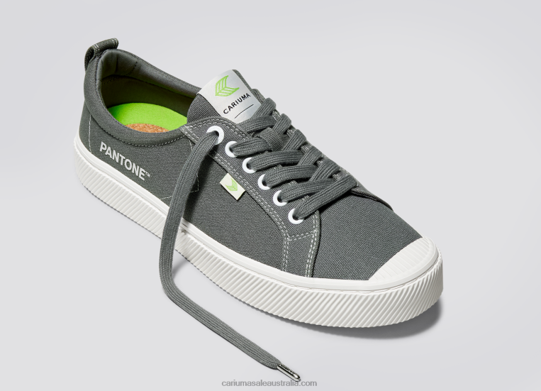 T8NFN40 Men Pantone Gargoyle Grey Canvas Cariuma