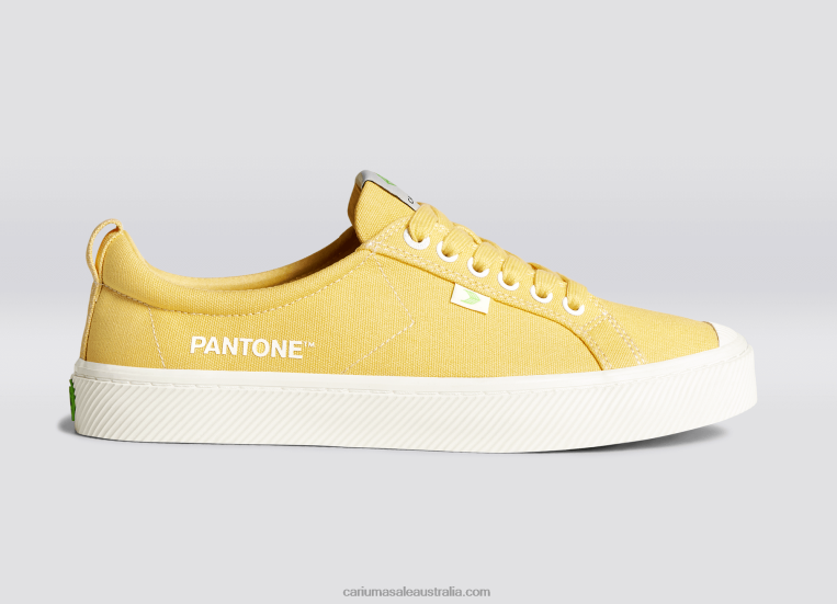 T8NFN49 Men Pantone Cornsilk Canvas Cariuma
