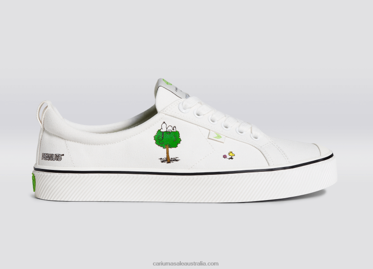 T8NFN82 Men Peanuts Earth Off-White Canvas Cariuma