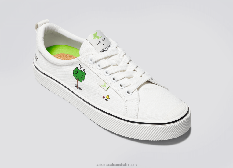 T8NFN82 Men Peanuts Earth Off-White Canvas Cariuma