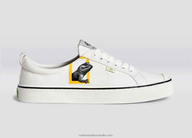 T8NFN85 Men National Geographic Gecko Off-White Canvas Cariuma