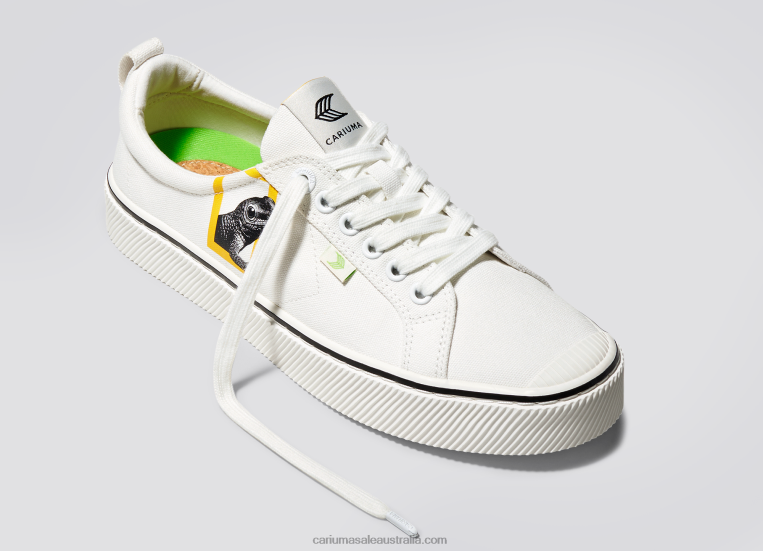 T8NFN85 Men National Geographic Gecko Off-White Canvas Cariuma