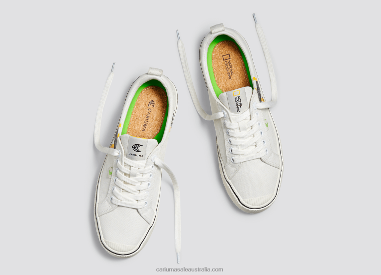 T8NFN85 Men National Geographic Gecko Off-White Canvas Cariuma
