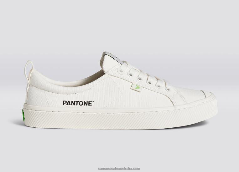 T8NFN227 Women Pantone Snow White Canvas Cariuma