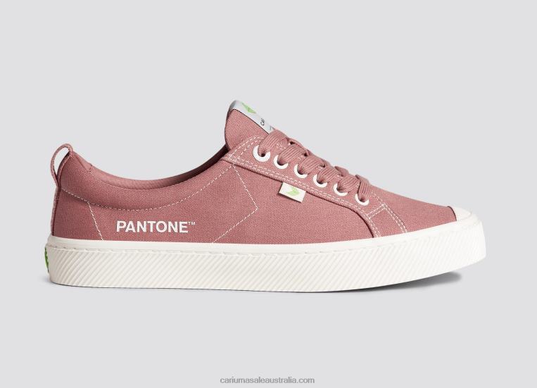 T8NFN229 Women Pantone Withered Rose Canvas Cariuma