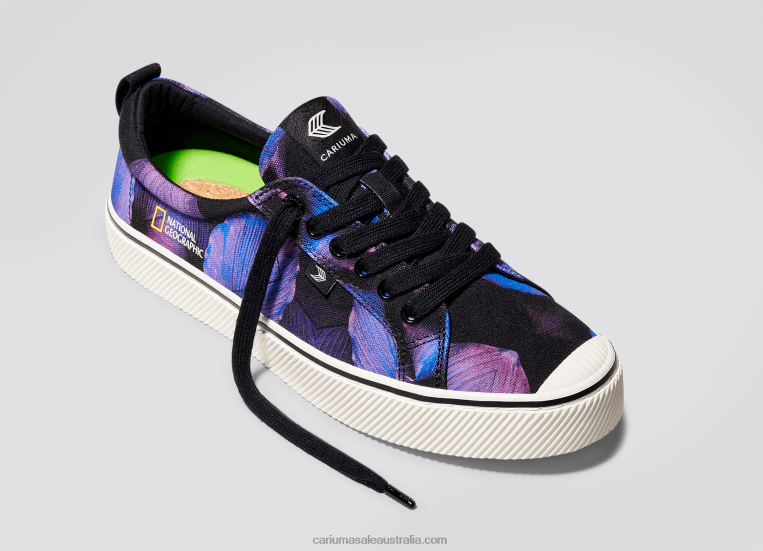 T8NFN246 Women National Geographic Peace Lily Purple Canvas Cariuma
