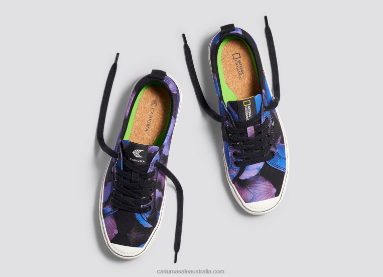 T8NFN246 Women National Geographic Peace Lily Purple Canvas Cariuma
