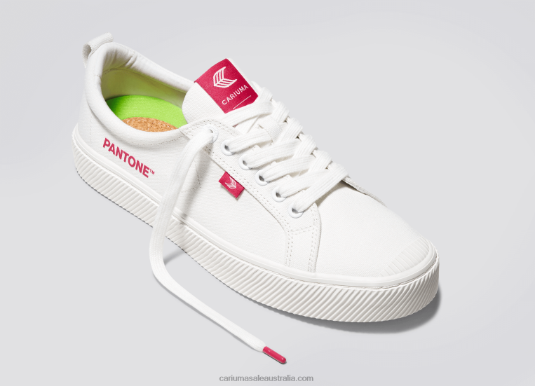 T8NFN252 Women Pantone Off-White/Viva Magenta Canvas Cariuma