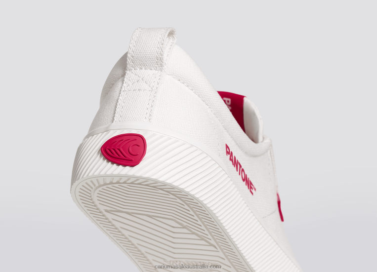T8NFN252 Women Pantone Off-White/Viva Magenta Canvas Cariuma