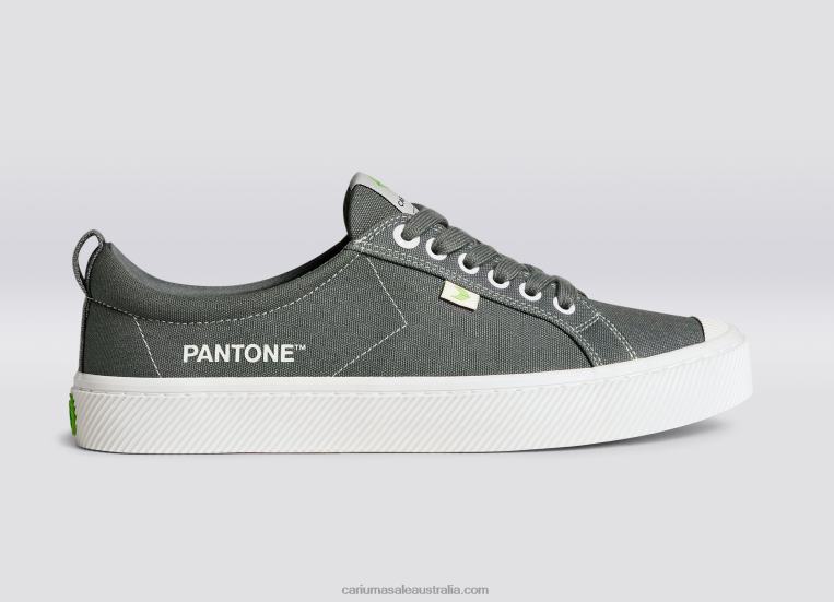 T8NFN253 Women Pantone Gargoyle Grey Canvas Cariuma