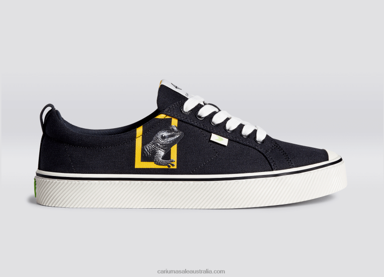 T8NFN303 Women National Geographic Gecko Black Canvas Cariuma